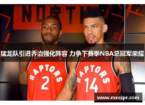 猛龙队引进乔治强化阵容 力争下赛季NBA总冠军荣耀