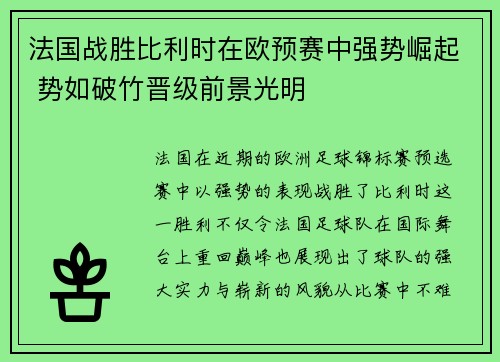 法国战胜比利时在欧预赛中强势崛起 势如破竹晋级前景光明