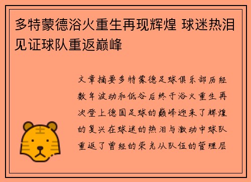 多特蒙德浴火重生再现辉煌 球迷热泪见证球队重返巅峰